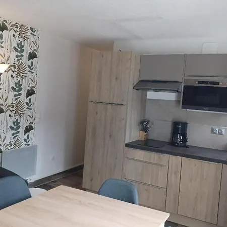 Apartment 4 Personnes Aux Bottieres Le Bochate Sur Le Domaine Des Sybelles En Savoie *